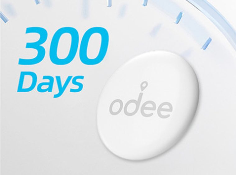 300 Days 배터리