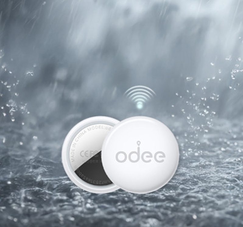 빗속의 odee 태그